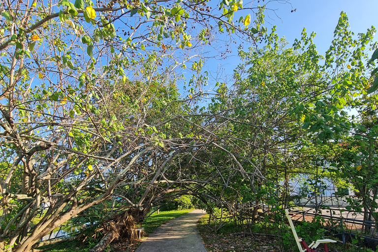 Penang: Cameron Highlands Tour