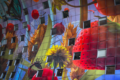 Rotterdam: PRIVATE Highlight & Hidden Gems Walk With Local