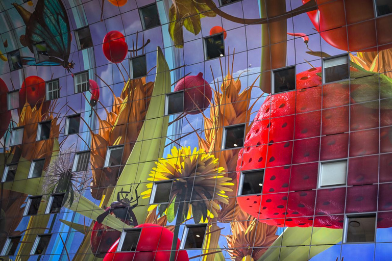 Rotterdam: PRIVATE Highlight & Hidden Gems Walk With Local