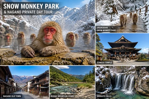 Tokyo: Snow Monkey Park & Nagano Private Day tour In Luxury - Image 2