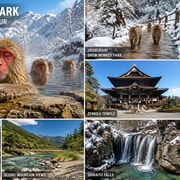 Tokyo: Snow Monkey Park & Nagano Private Day tour In Luxury