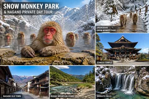 Tokyo: Snow Monkey Park & Nagano Private Day tour In Luxury - Image 3
