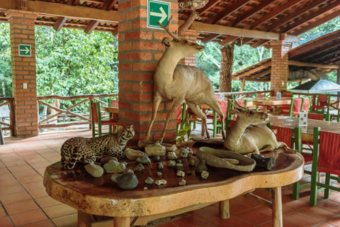 Puerto Vallarta: Jorullo Paradise Hiking Adventure