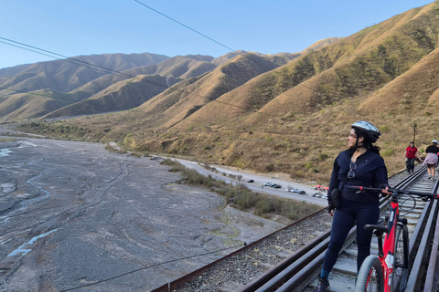 From Salta: Quebrada del Toro Mountain Bike Tour with Guide