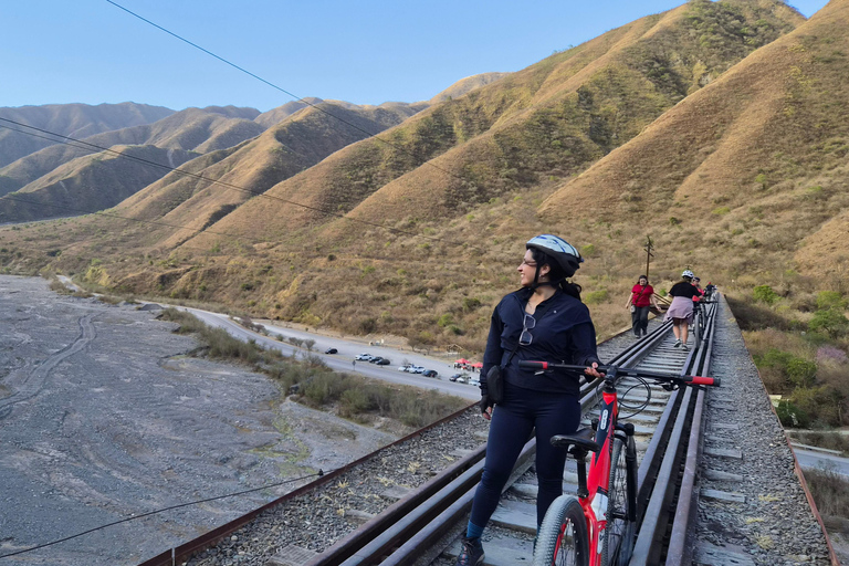 From Salta: Quebrada del Toro Mountain Bike Tour with Guide