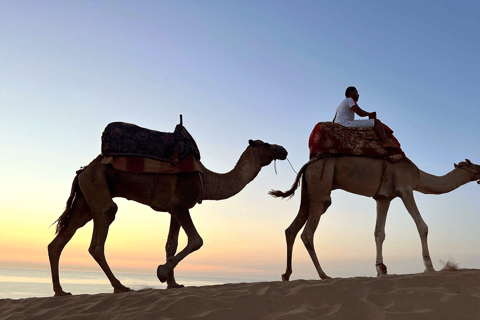 Agadir/Taghazout: Desert Tour Camel Riding & Sandboarding