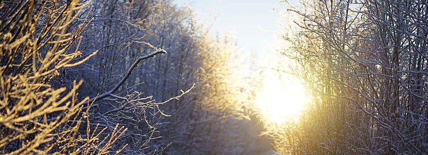 Au départ d'Alta : Excursion en traîneau à chiens Husky