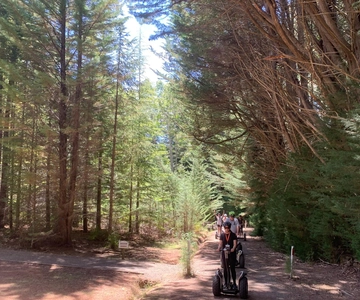 Launceston : visite en Segway de la forêt de Hollybank avec photos