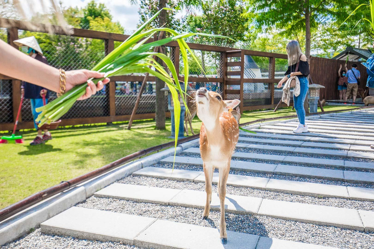 Da Taipei: Tour di un giorno di animali divertenti e naturali a Yilan