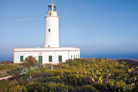 Formentera: Discover our Fast Ferry + e-Bike Package Formentera: discover our fast ferry + electric bike package