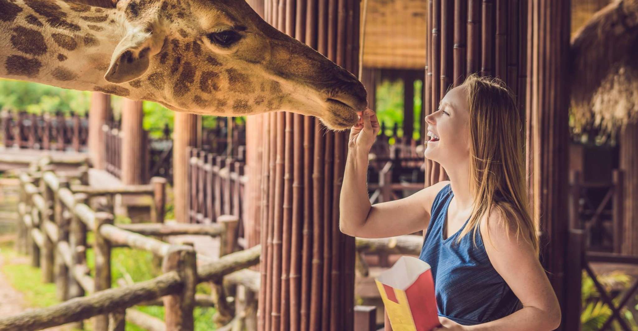 Skip-the-line Tickets to Bronx Zoo with Private Transfers - Housity