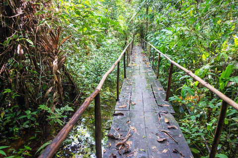 Iquitos: 5-Day Amazon Camp, Zipline & Jungle Tour