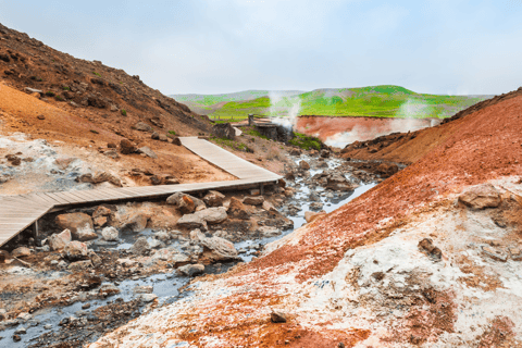 Reykjanes Peninsula : Private Guided Day Tour