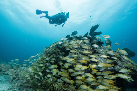 Puerto Morelos: Shore diving at Ojo de Agua Beach Club