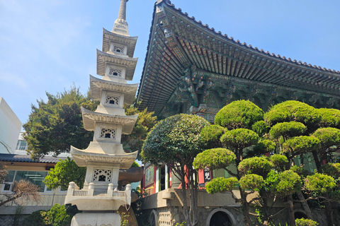 Busan Bites Food Tour with 10+ Tastings