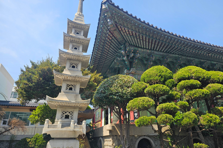 Busan Bites Food Tour with 10+ Tastings