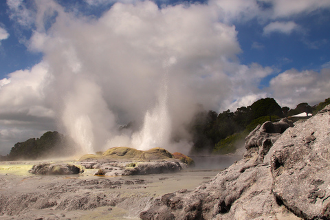 Rotorua: Glowworm Cave, Redwoods Forest & Te Puia Tour