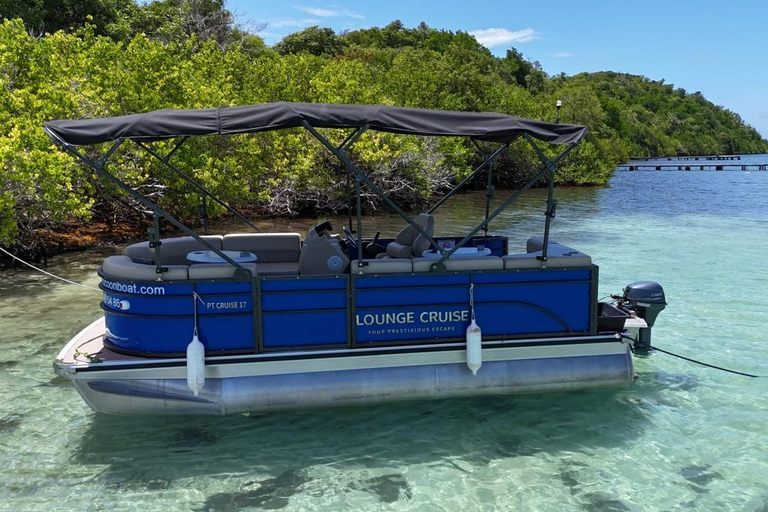Martinique: Baie du Robert License-Free Boat excursion Full-Day Blue Boat