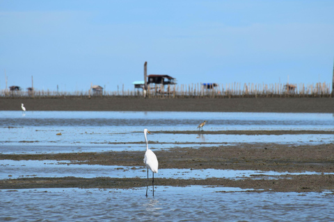 Targ Maeklong, tajemnice namorzynów, podróż inspirowana lotosem