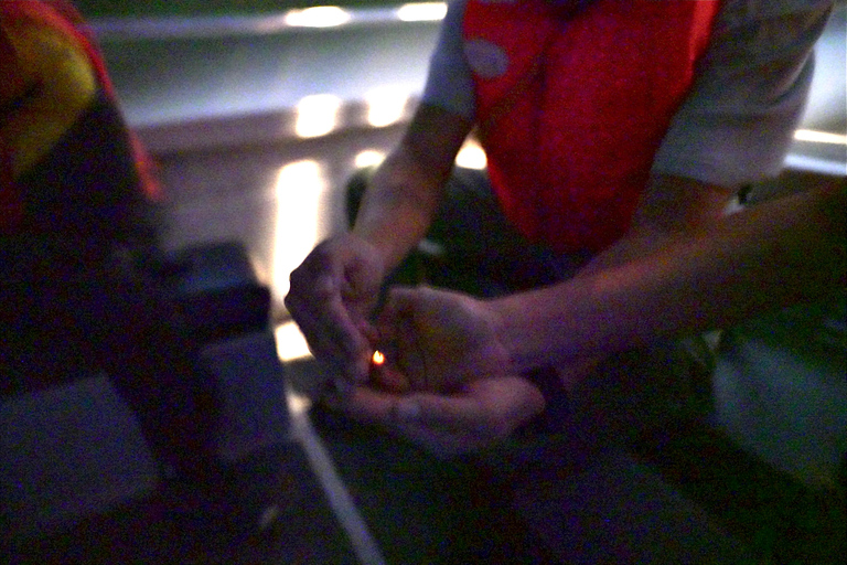 Fireflies Boat Experience in Kuala Selangor