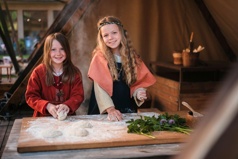 Estocolmo: ticket de acceso al Museo de Historia Sueca