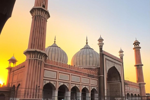 Delhi: Private Ganztagestour oder Halbtagestour durch Alt- und Neu-Delhi mit GuideAll-inclusive-Halbtagestour durch Neu-Delhi (4 Stunden)