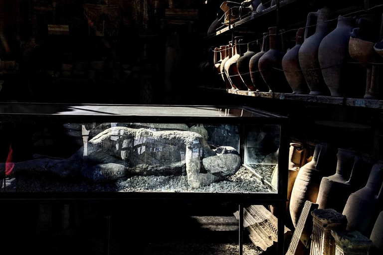 Pompeii Express: High-Speed Train from Rome