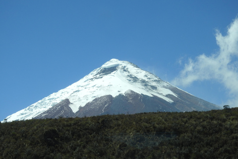 Randonnée et équitation au volcan Cotopaxi pour débutants