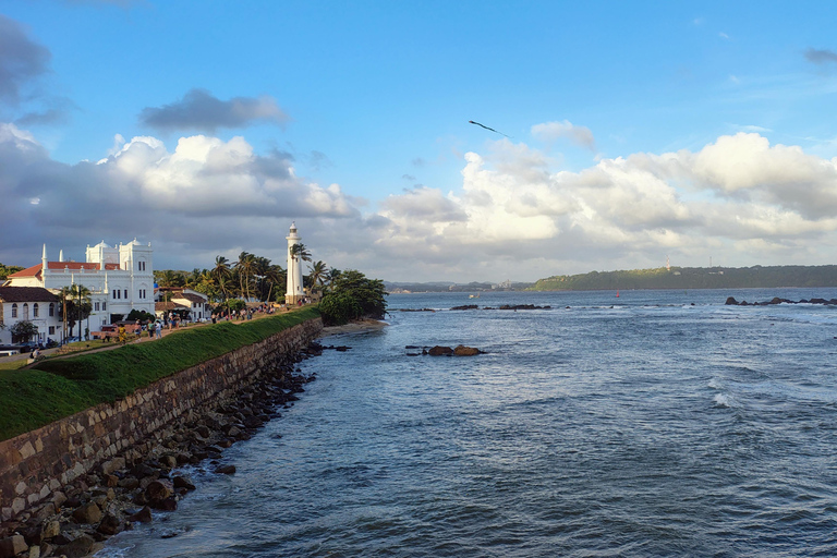From Colombo: Day trip to Galle Dutch Fort & Turtle Beach