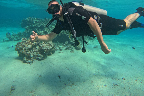 Scuba Diving, Snorkeling, and Boat Tour PADI SSI