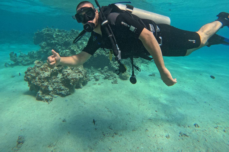 Scuba Diving, Snorkeling, and Boat Tour PADI SSI