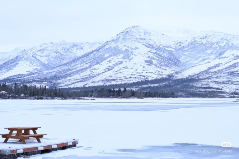 Denali Summer/ Qinter Trial Shuttle with Professional Camera