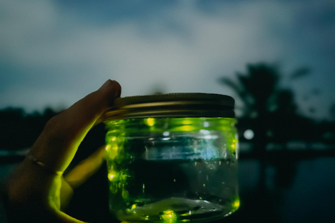 Ubud: Silver Making Class and Fireflies Evening Tour