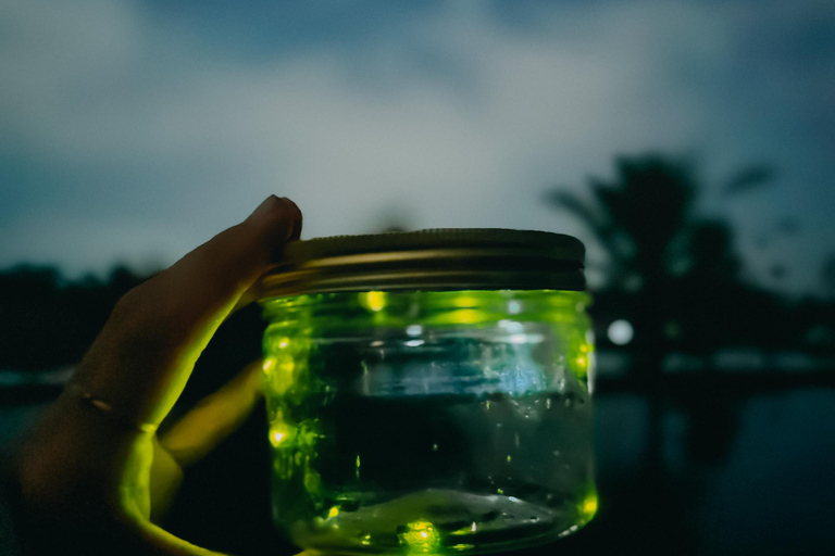 Ubud: Silver Making Class and Fireflies Evening Tour