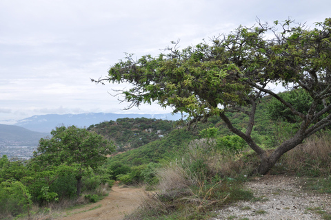 Elektrische mountainbike in OaxacaMountainbiken in Oaxaca