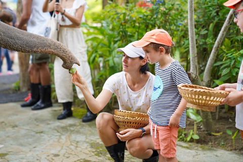 Phuket: Vandra och mata etiska elefanter i naturparken