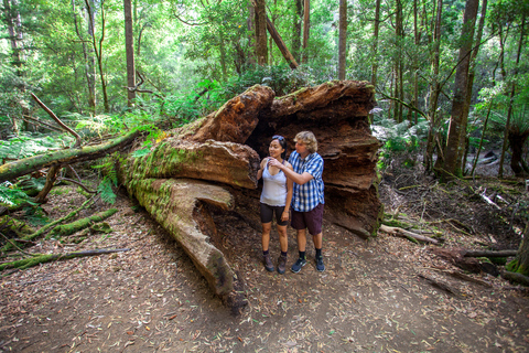 From Hobart: Mt. Field, Mt. Wellington and Wildlife Day Tour