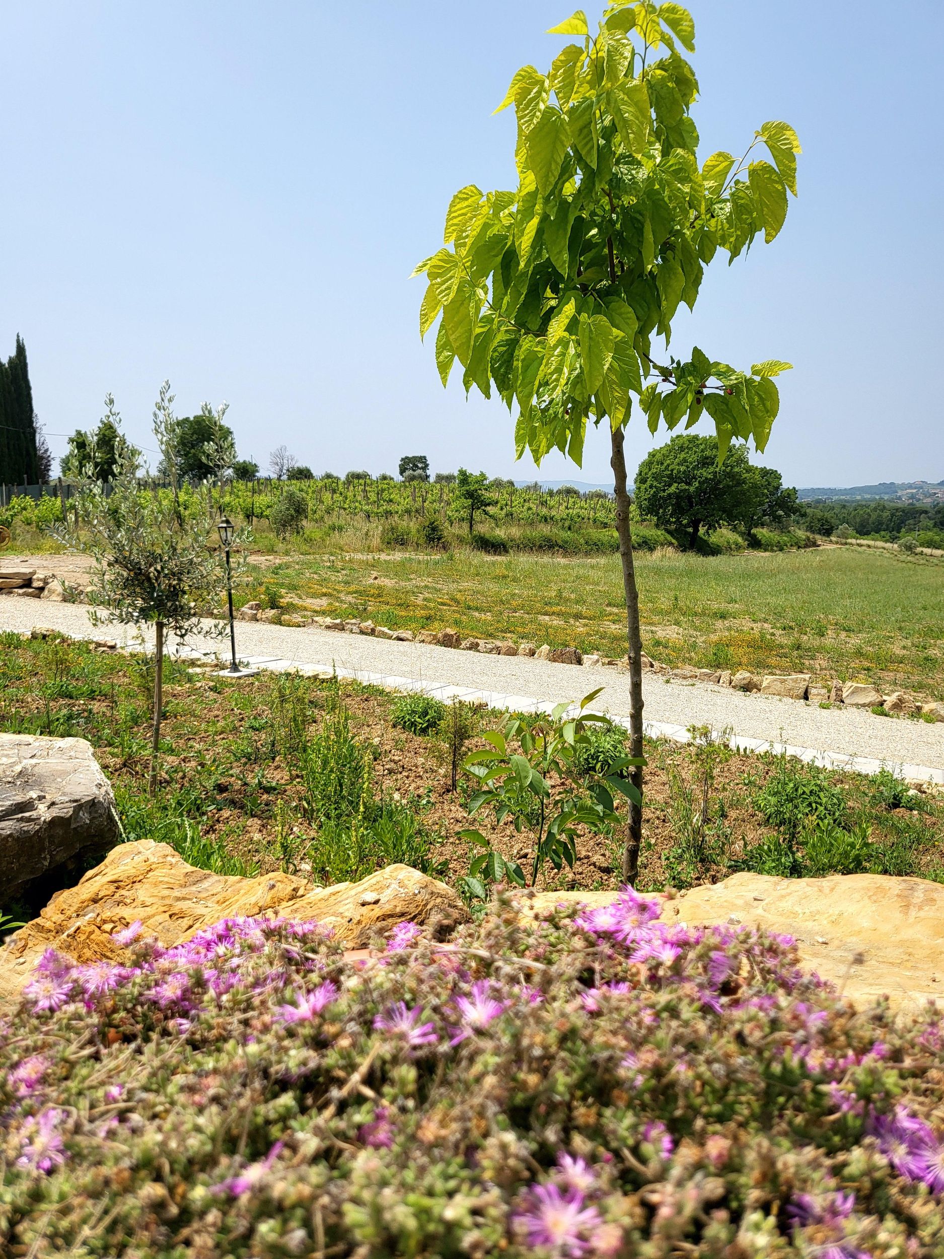 Typische toskanische Produkte, Chianti-Verkostung auf dem Bauernhof Borgunto in Arezzo