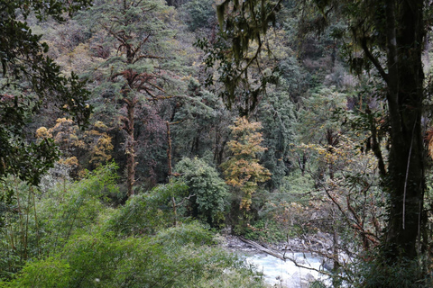 Langtang Valley Trek: Ein 6-tägiges All-Inclusive-Abenteuer