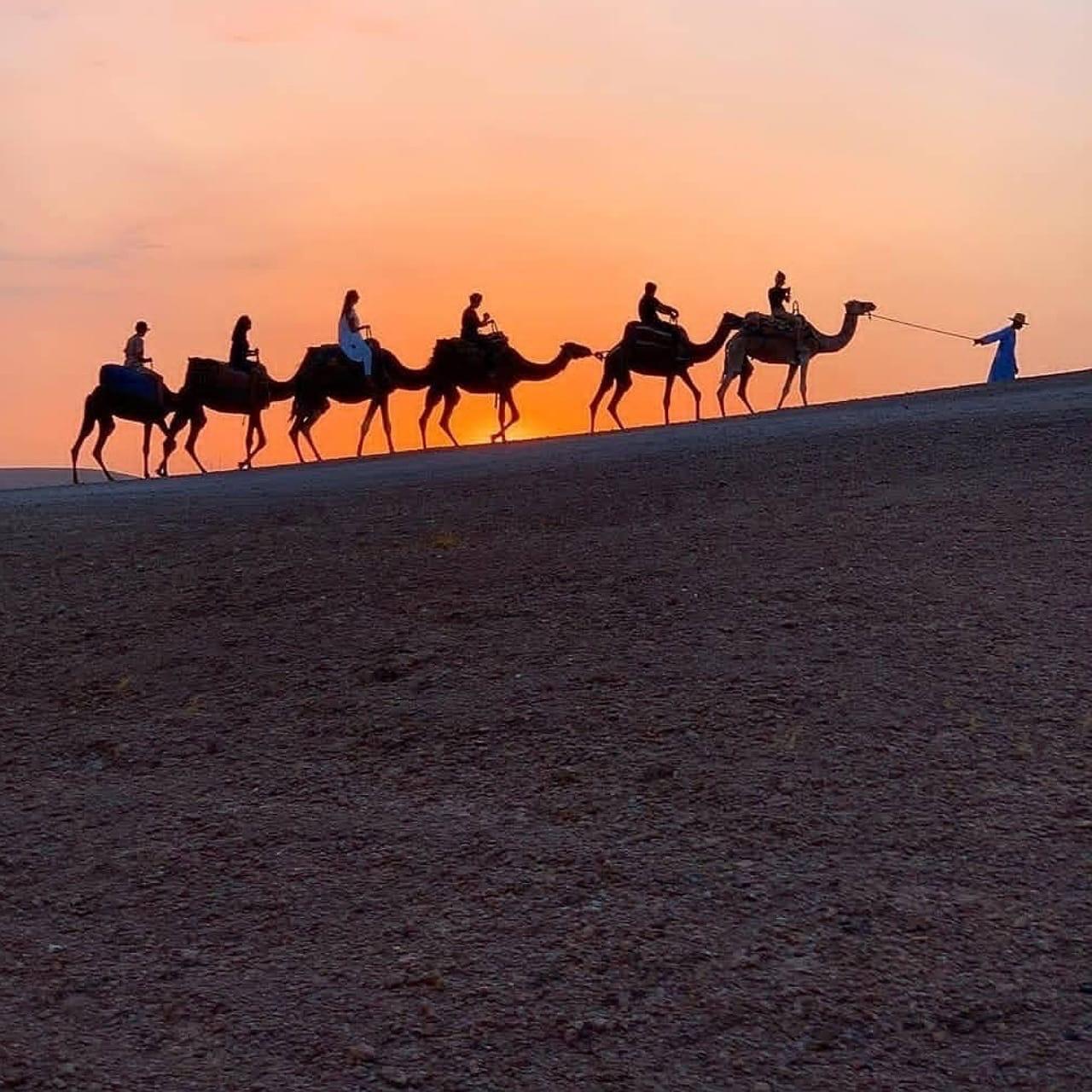Marrakesch: Abendessen in der Agafay-Wüste, Kamelreiten und Berber-Show