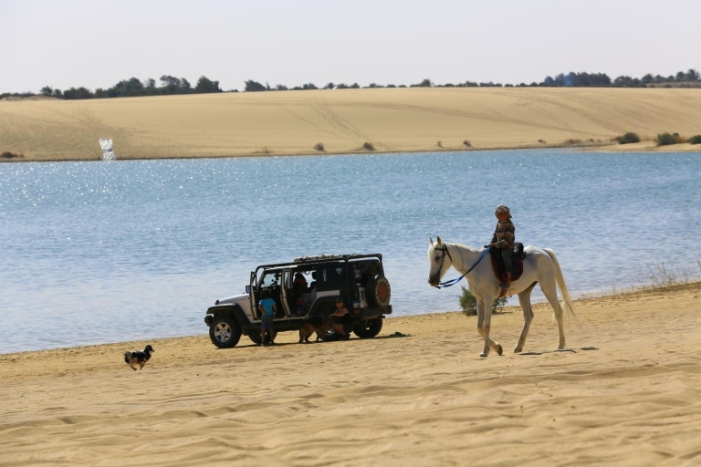Hurghada: paardrijtocht langs de zee en woestijn met transfers