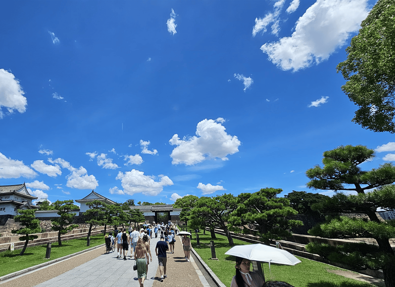 Osaka: Entré til slotstårnet / guidet byvandring
