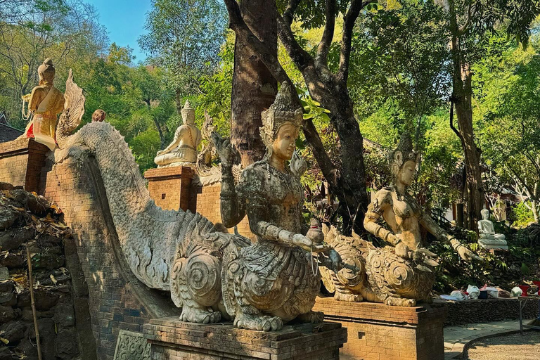 Visite du Doi Suthep et du temple Wat Pha Lat en soirée