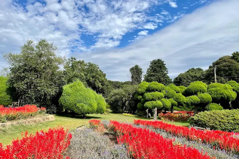 Fukuoka:Nokonoshima Island Day Trip with Tour Guide& Driver