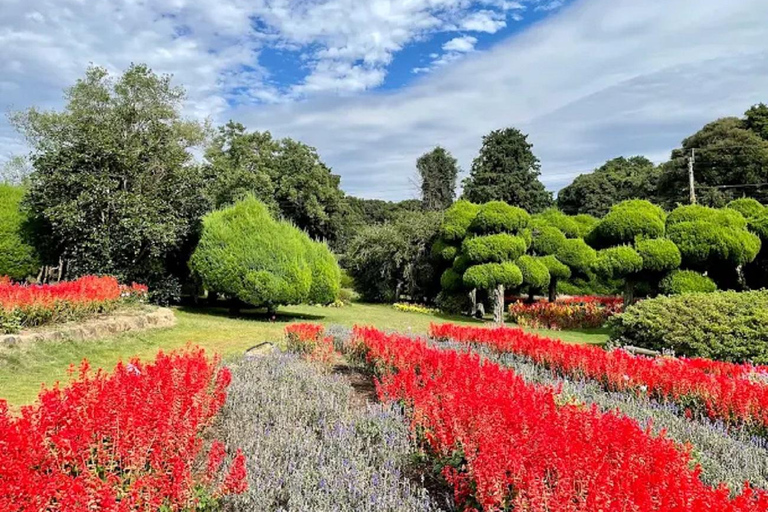 Fukuoka:Nokonoshima Island Day Trip with Tour Guide& Driver