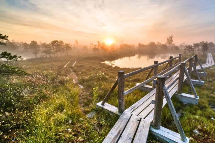 Ab Riga: Sonnenaufgangstour in Ķemeri mit Frühstück. Foto: GetYourGuide Ab Riga: Sonnenaufgangstour in Ķemeri mit Frühstück. Foto: GetYourGuide