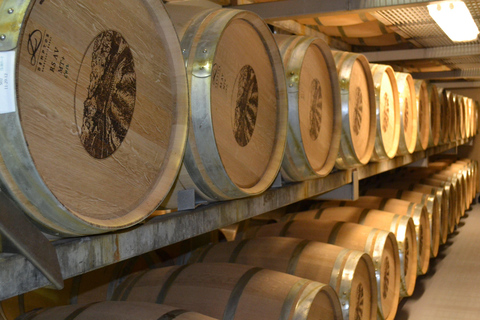 Visit: Gambino Vini Etna Winery + Private Transfer from Taormina Visit: Cantina dell'Etna Gambino Vini + Private Transfer from Taormina