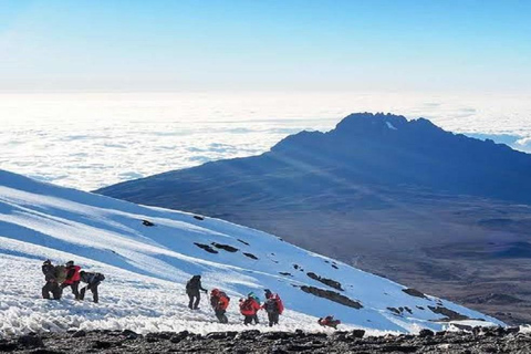 5 jours d&#039;ascension du Kilimandjaro par la voie Marangu