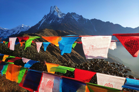 5 Days Mardi Himal Base cam Trek All Inclusive option Private Trek Tour without Meals
