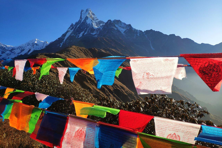 5 Days Mardi Himal Base cam Trek All Inclusive option Private Trek Tour without Meals